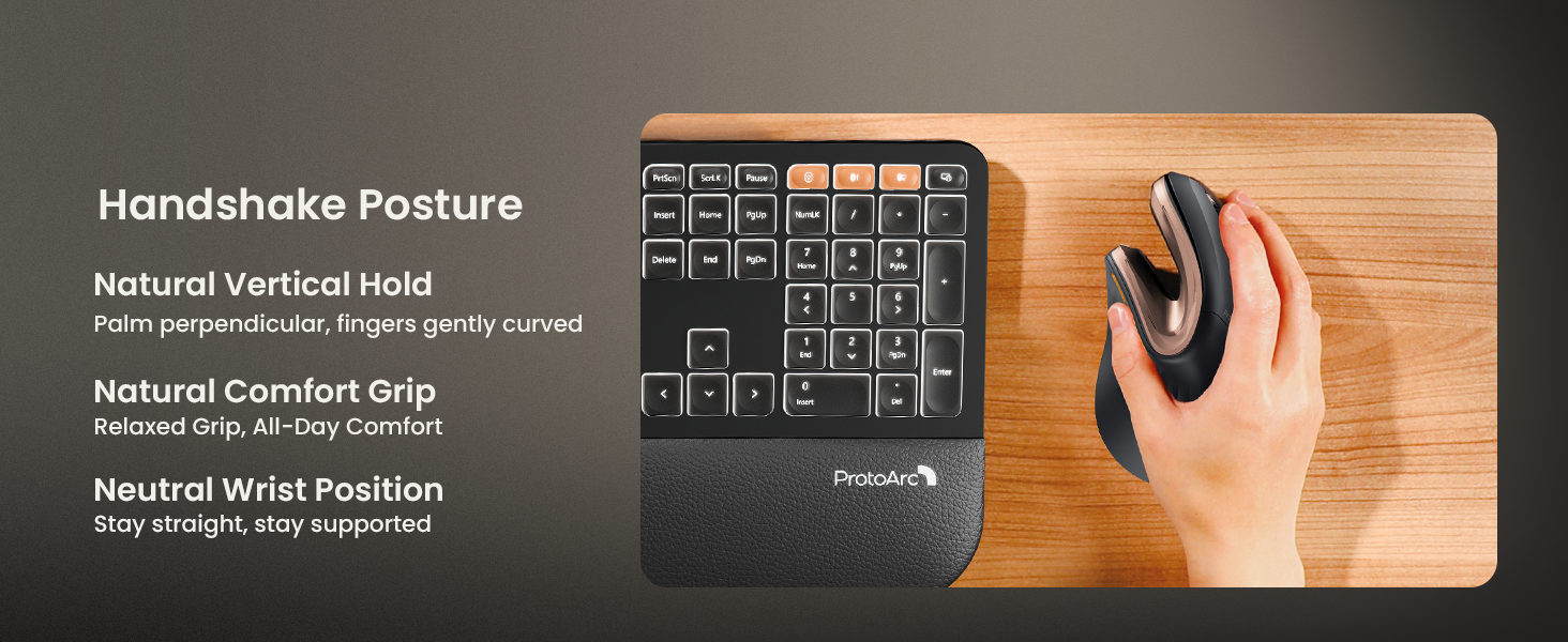 ProtoArc EM11 Ergonomic Vertical Wireless Mouse Rechargeable