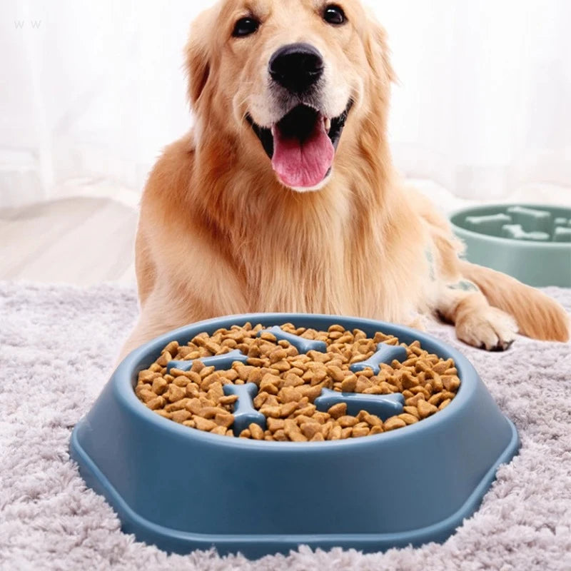 Anti-Choking Slow Feeder Bowl for Dogs & Cats