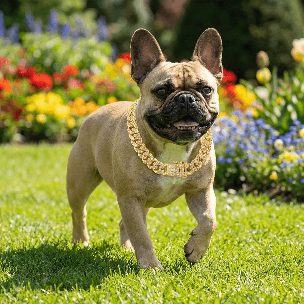 Gold Cuban Chain Dog Collar