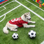 Breathable Mesh Pet Football Jersey