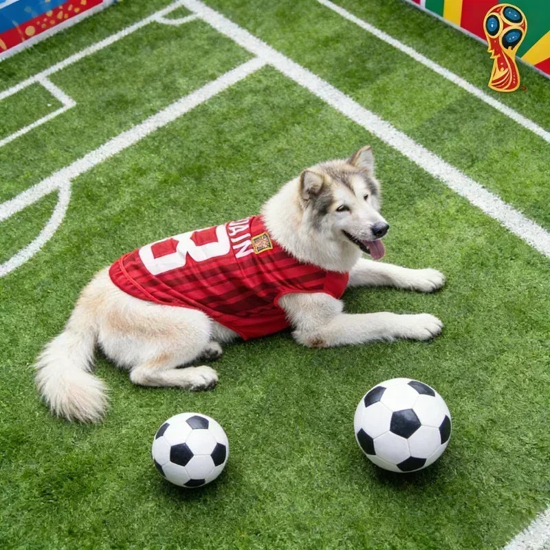 Breathable Mesh Pet Football Jersey