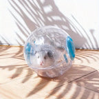 Hamster Exercise Ball – Small Pet Jogging Toy