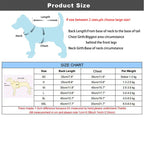 Adidog Dog Overalls – Winter Jumpsuit for Small Dogs & Yorkies