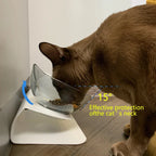 Non-Slip Double Pet Bowl with Stand – Cat & Dog Feeder