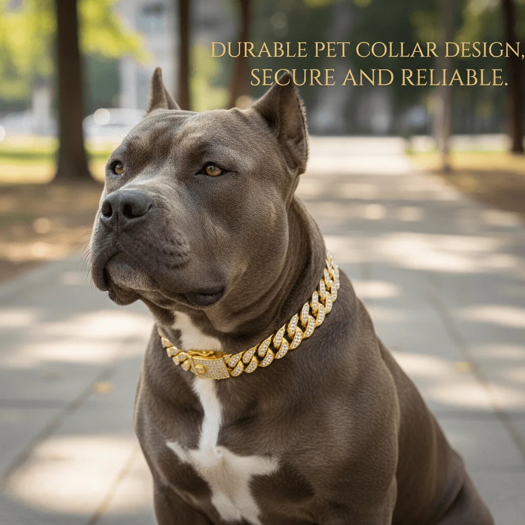 Gold Cuban Chain Dog Collar