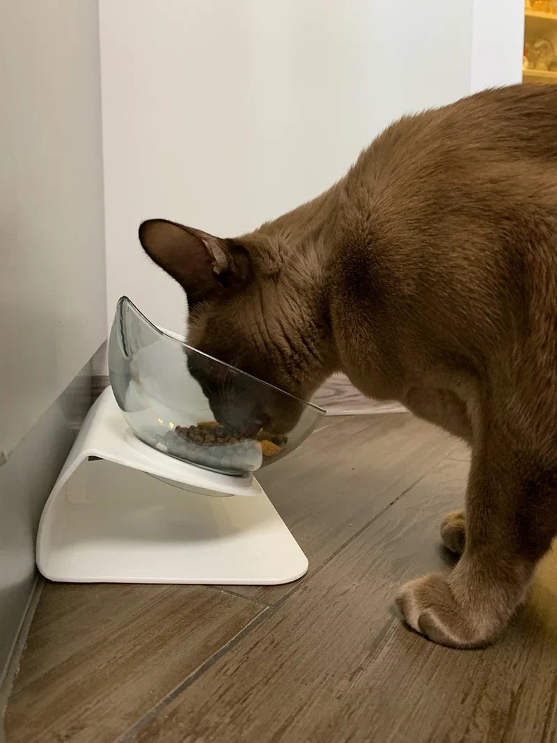 Non-Slip Double Pet Bowl with Stand – Cat & Dog Feeder
