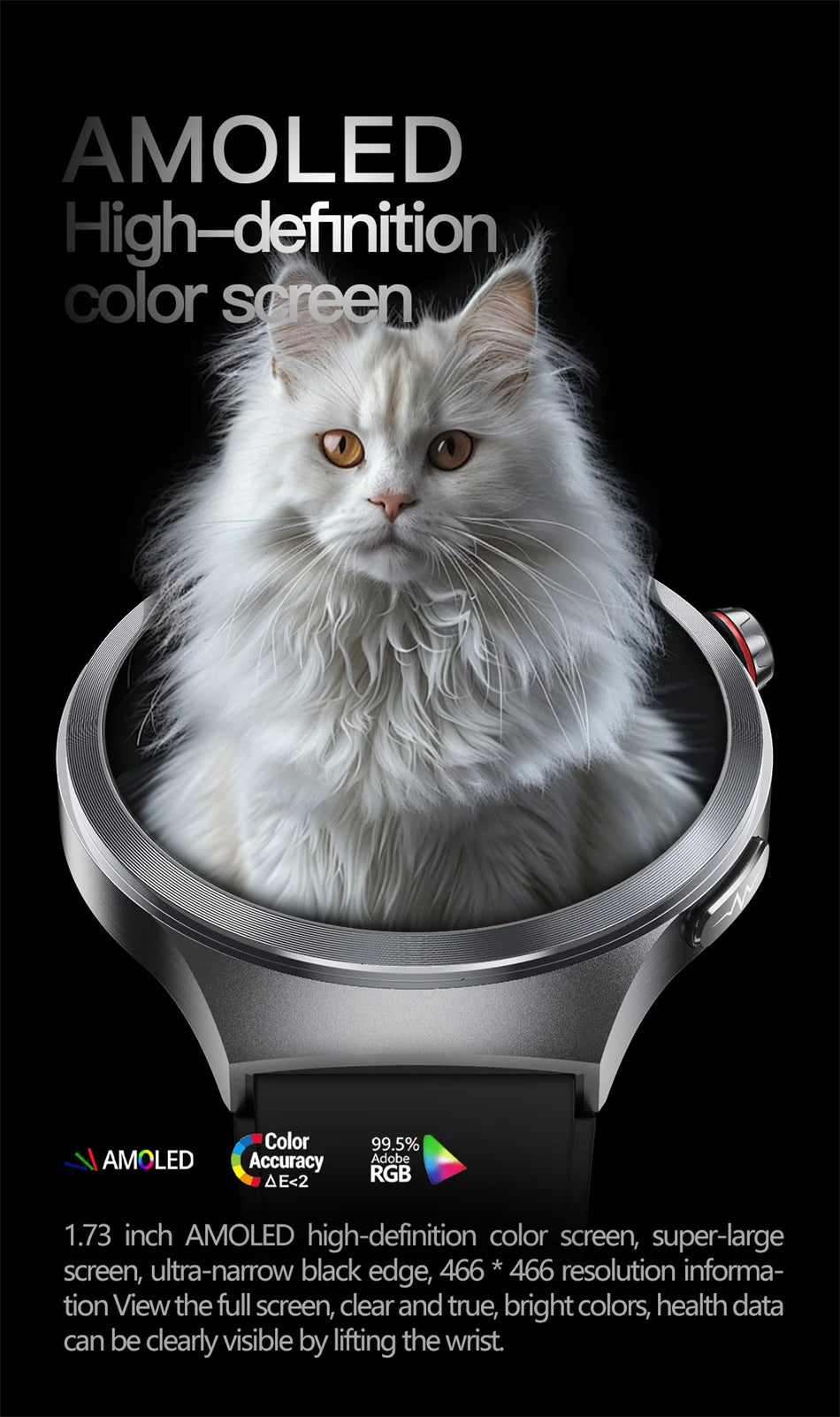 ECG+PPG Blood Lipid Smart Watch