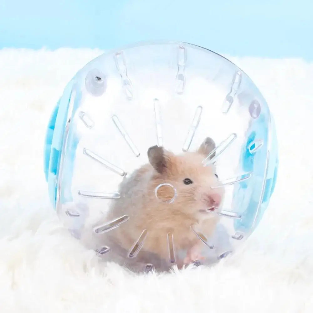 Hamster Exercise Ball – Small Pet Jogging Toy