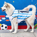 Breathable Mesh Pet Football Jersey