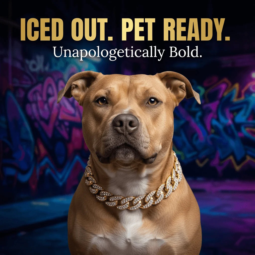 Gold Cuban Chain Dog Collar