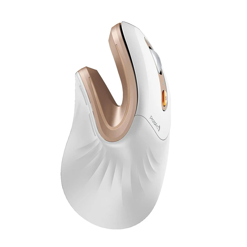 ProtoArc EM11 Ergonomic Vertical Wireless Mouse Rechargeable