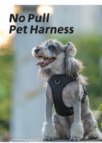 No-Pull Reflective Dog Harness