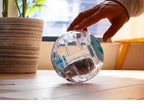 Hamster Exercise Ball – Small Pet Jogging Toy