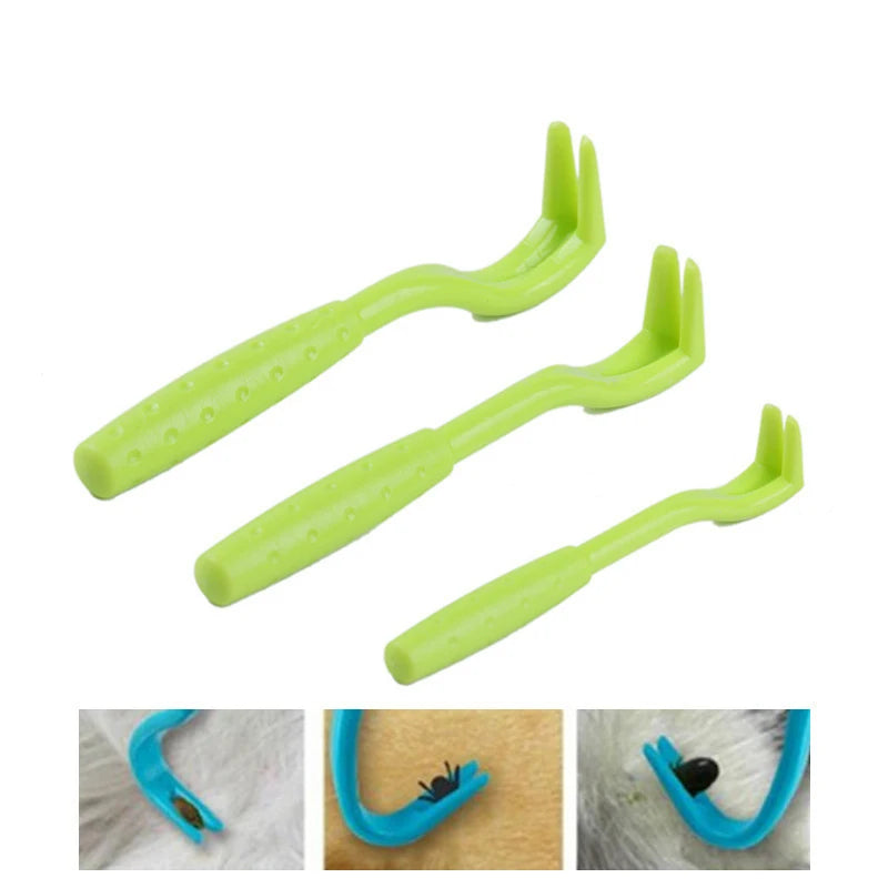 Double-Sided Dish Washing Brush & Sponge