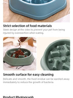 Anti-Choking Slow Feeder Bowl for Dogs & Cats