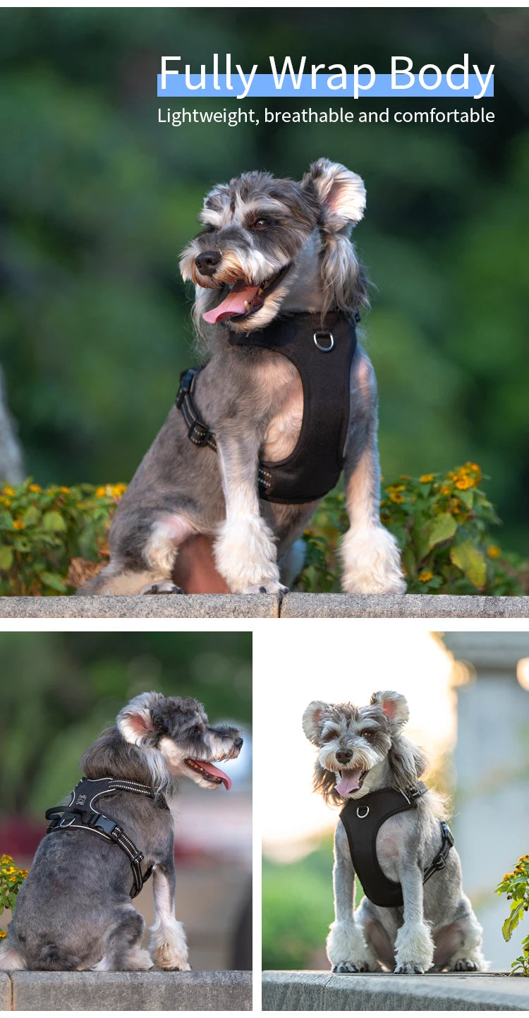 No-Pull Reflective Dog Harness