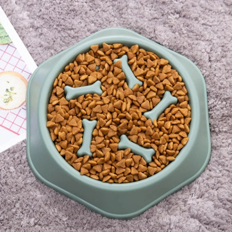 Anti-Choking Slow Feeder Bowl for Dogs & Cats