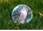 Hamster Exercise Ball – Small Pet Jogging Toy
