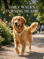 Gold Cuban Chain Dog Collar