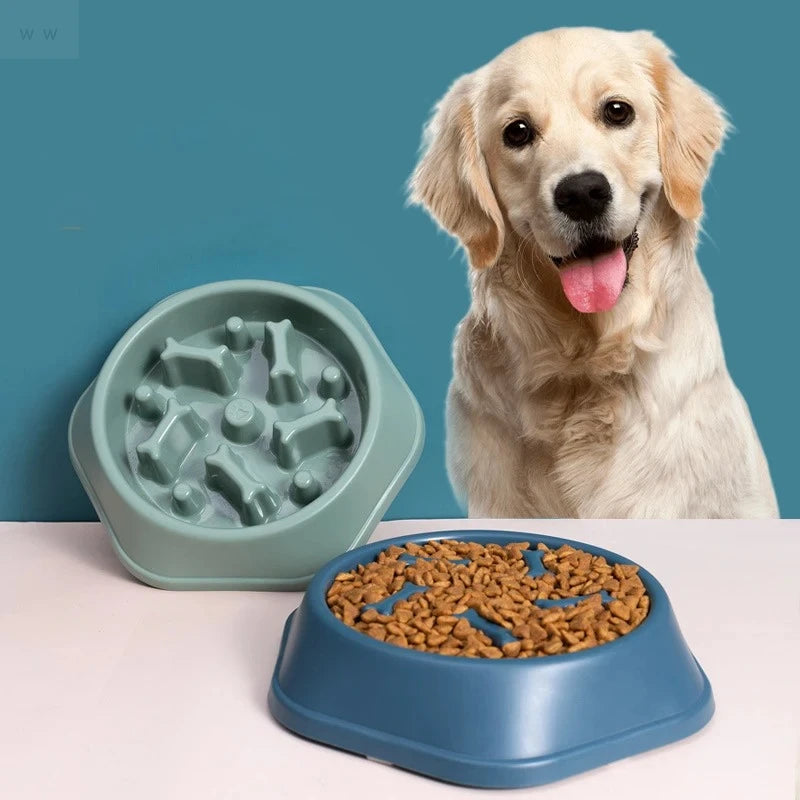 Anti-Choking Slow Feeder Bowl for Dogs & Cats