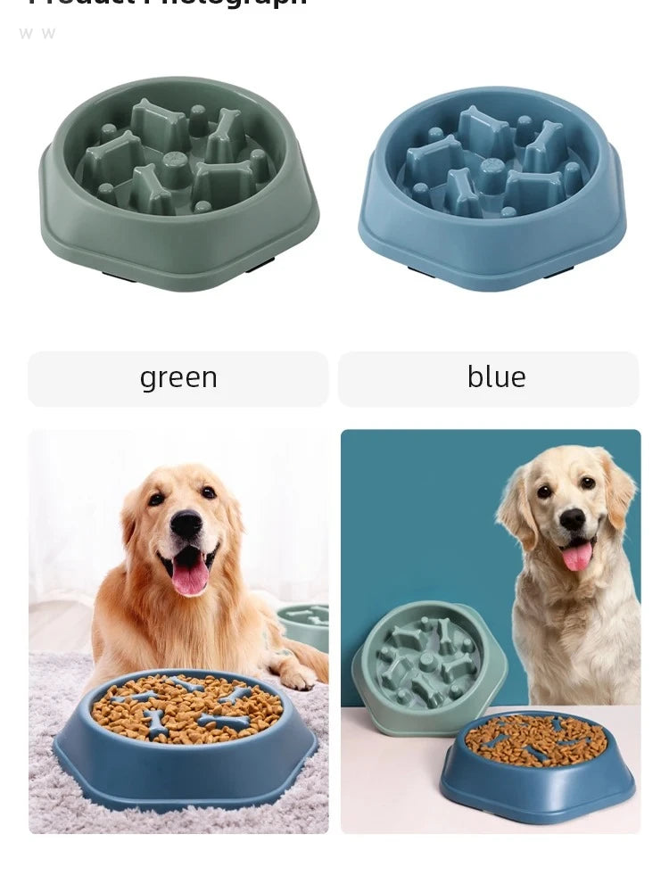 Anti-Choking Slow Feeder Bowl for Dogs & Cats