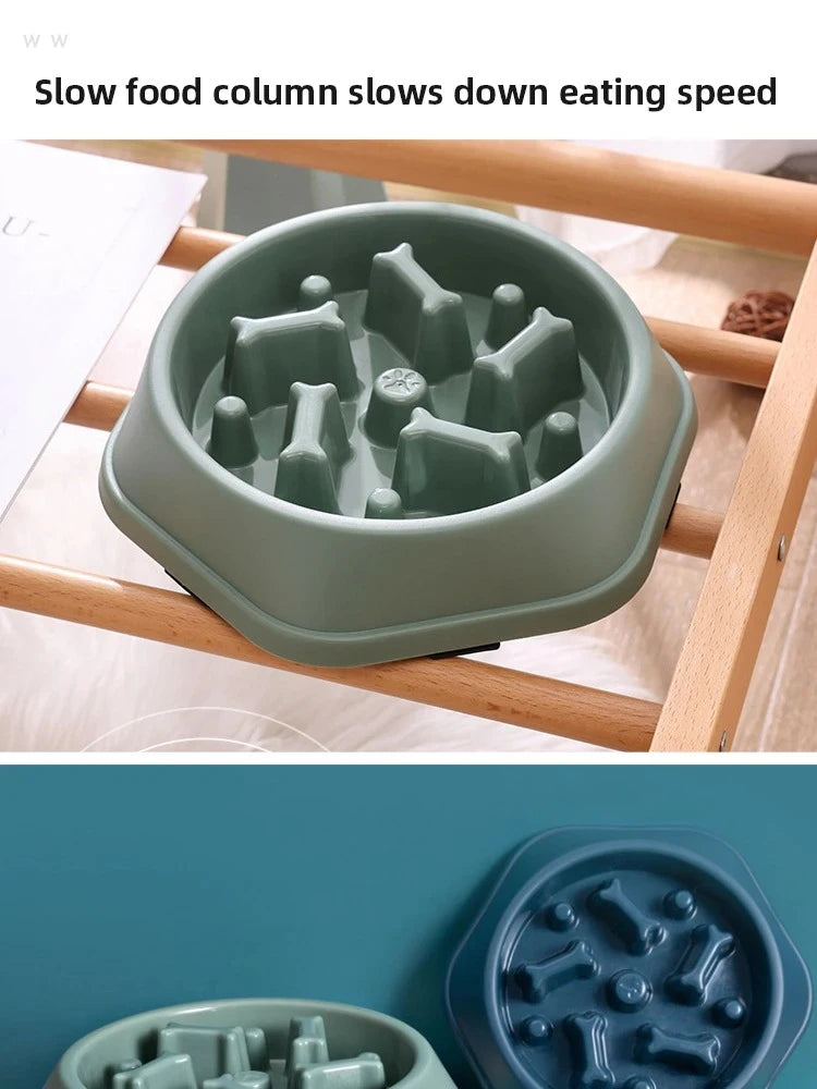 Anti-Choking Slow Feeder Bowl for Dogs & Cats