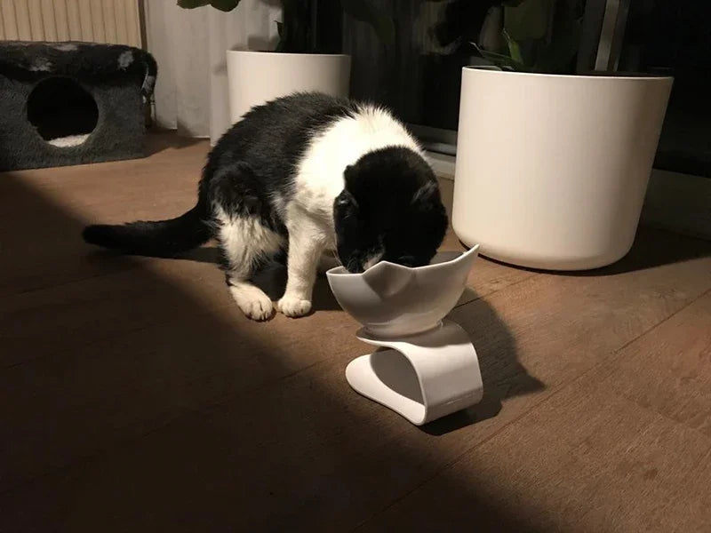 Non-Slip Double Pet Bowl with Stand – Cat & Dog Feeder