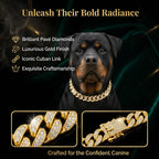 Gold Cuban Chain Dog Collar