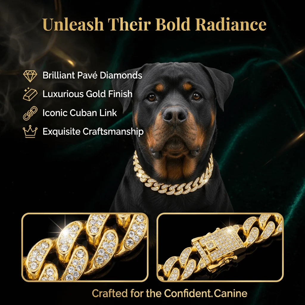 Gold Cuban Chain Dog Collar