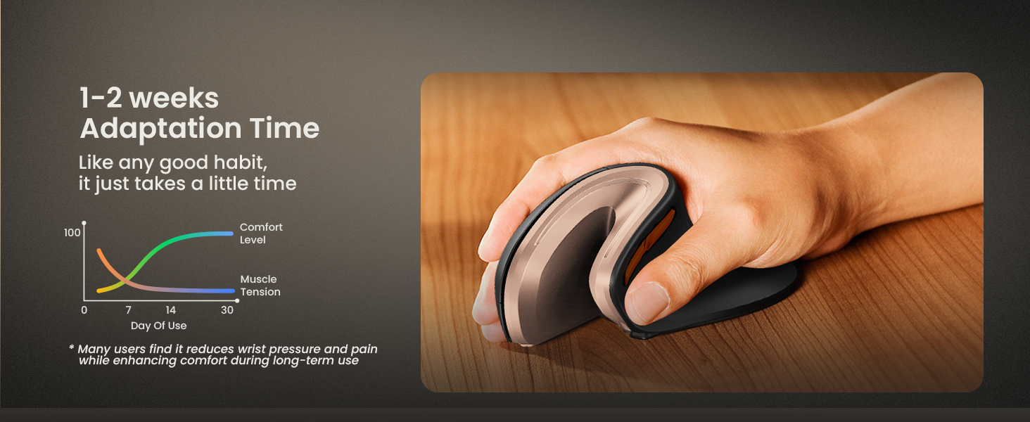 ProtoArc EM11 Ergonomic Vertical Wireless Mouse Rechargeable